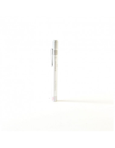 ri-pen® Penlight Argento
